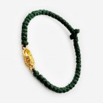 Комбоскини зелёный с золотым башмачком — изображение 2