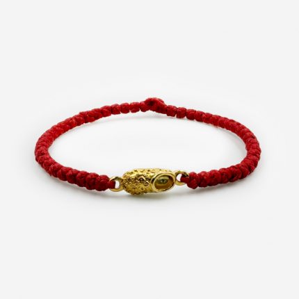 Комбоскини красный с золотым башмачком