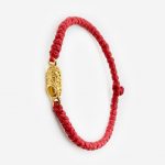 Комбоскини красный с золотым башмачком — изображение 2